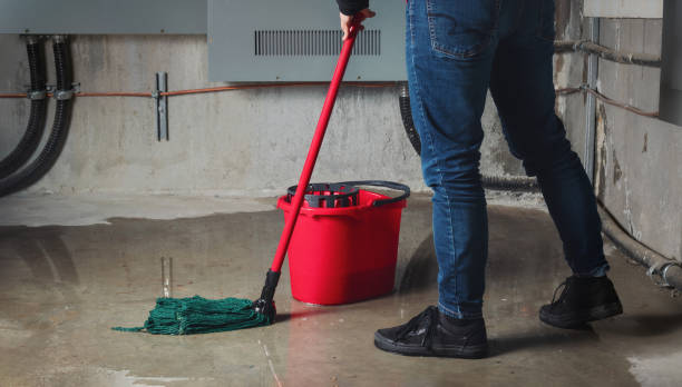 Best Commercial water damage restoration  in Macarthur, WV