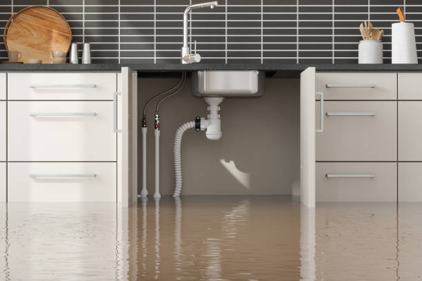 Best Commercial water damage restoration  in Macarthur, WV