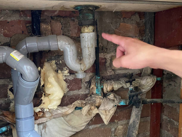 Best 24/7 water damage repair  in Macarthur, WV
