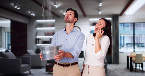 Best 24/7 water damage repair  in Macarthur, WV